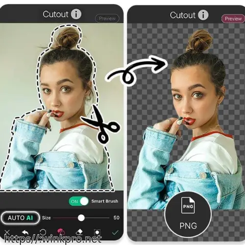 Wink cutout feature, wink pro editing, wink video retouching