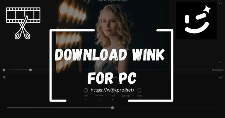 wink for pc, wink for windows.