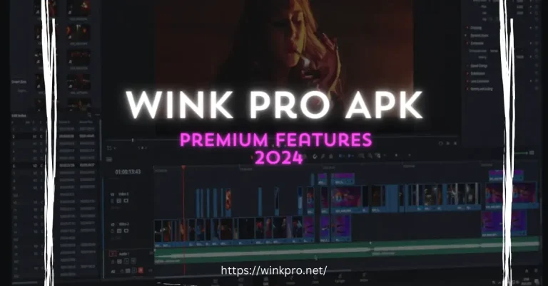 Wink Pro APK Premium Features