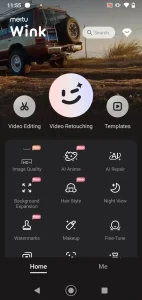 wink apk, wink interface